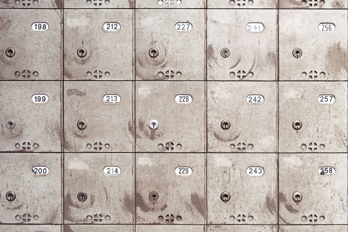 Dutch Government wants digital vault for everyone. Good idea?