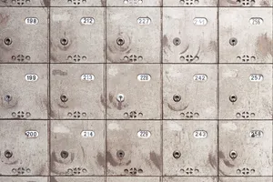 Dutch Government wants digital vault for everyone. Good idea?
